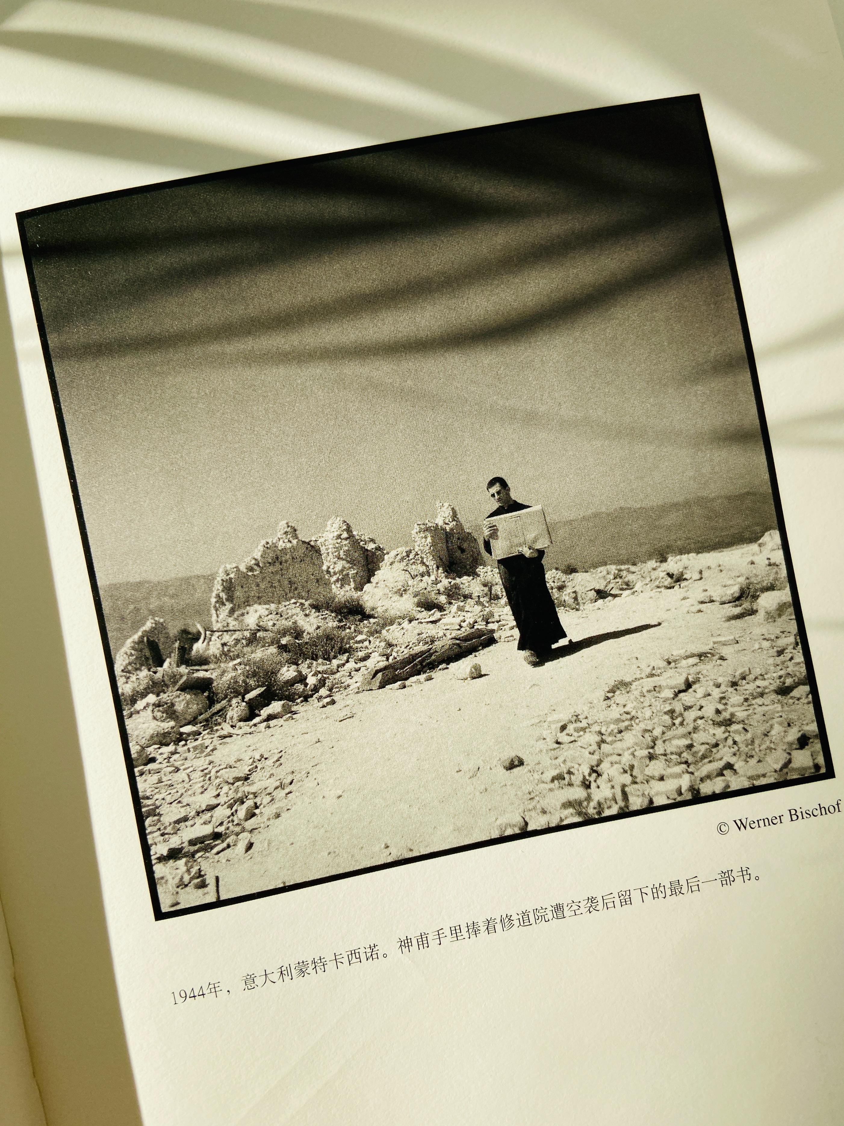 一本摄影画册阅读,读一本摄影作品集