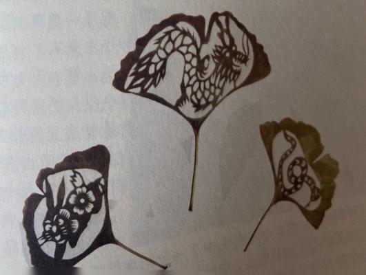 地梨的故事,地窝子的故事