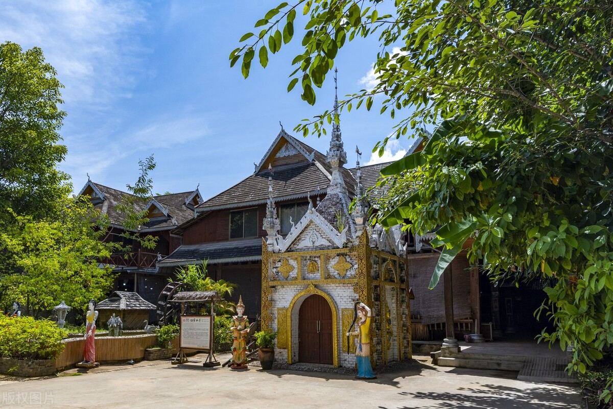 2022西双版纳门票免费的景区,西双版纳望天树景区与热带植物园