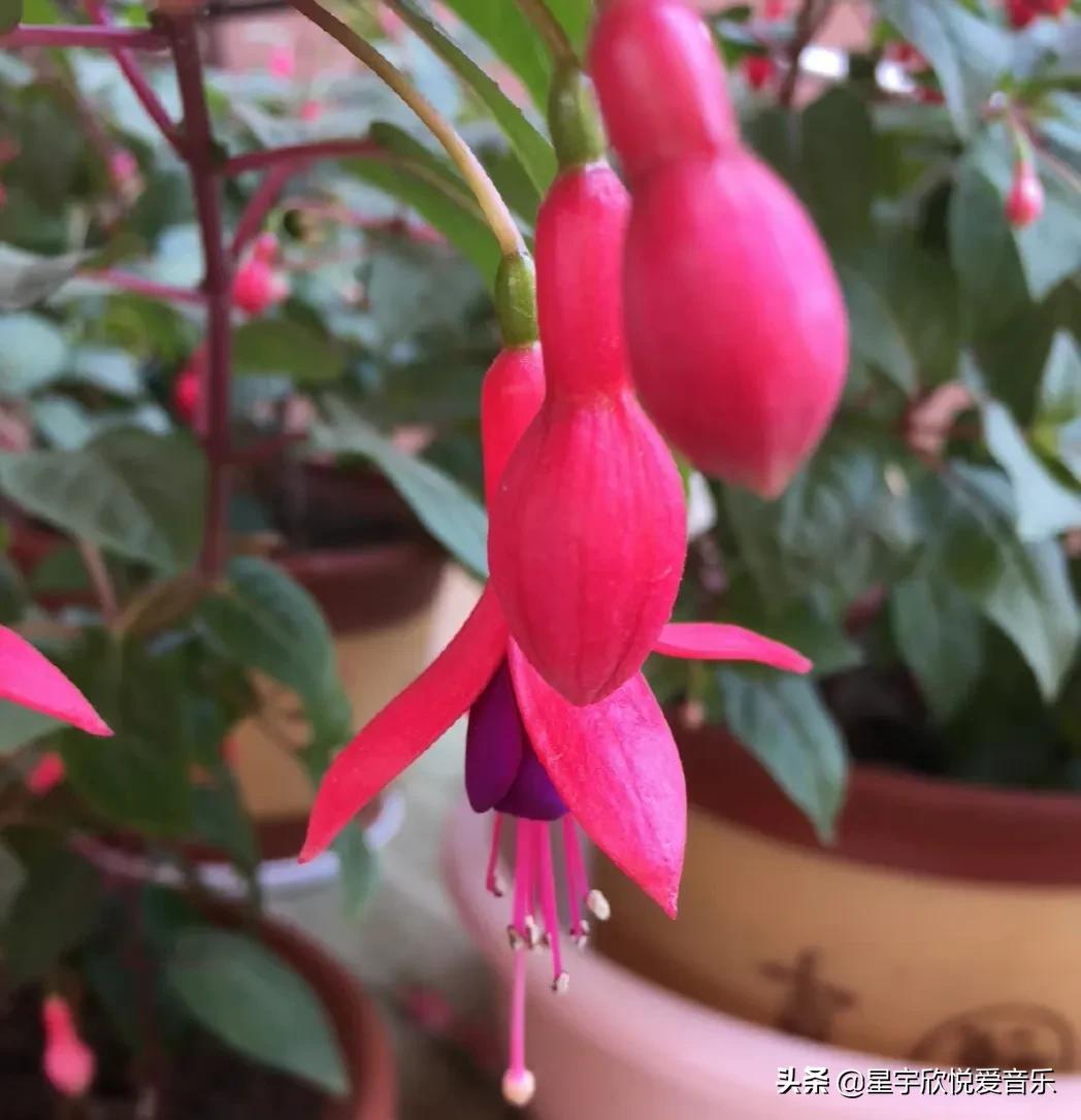 分享惊艳的图片,分享美景的图片卡点