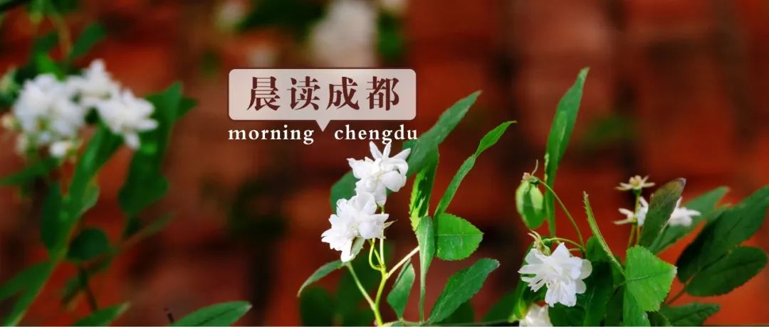 成都将再添一座三甲综合医院,成都将再添一座三甲医院