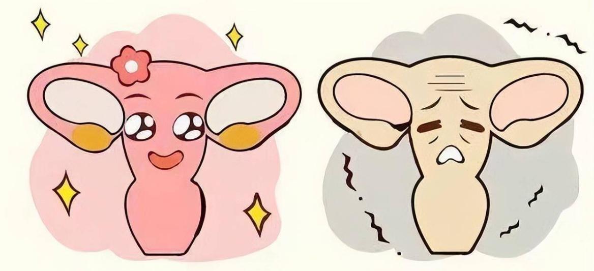 姨妈过后外阴疼是怎么回事,女士下身隐隐疼怎么回事