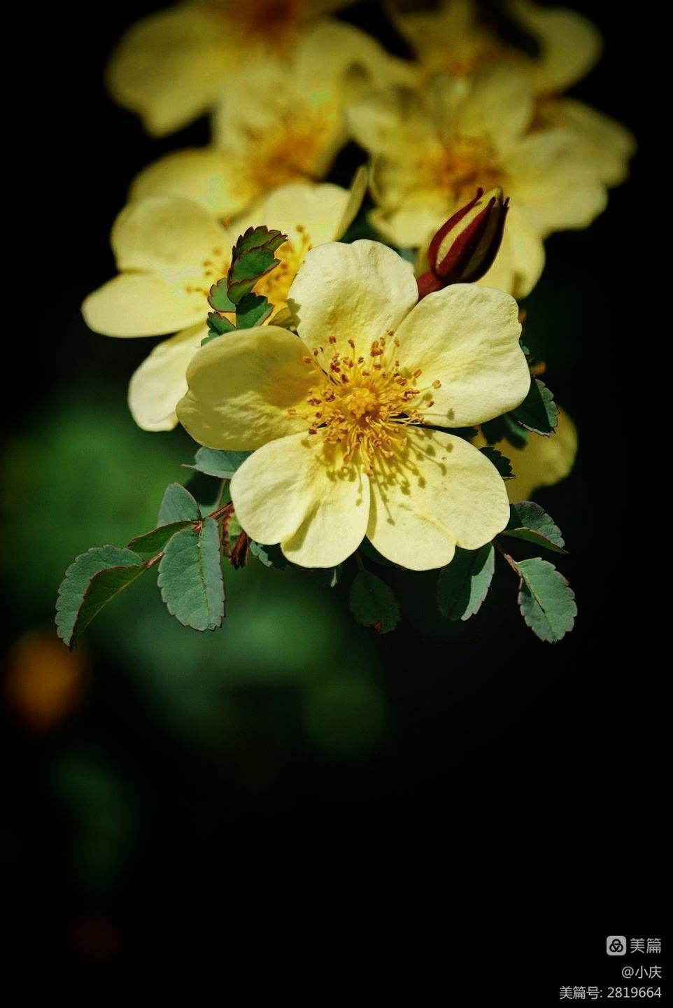 想让自己云淡风轻看淡世态炎凉,世态炎凉常让人心寒唯有做好自己