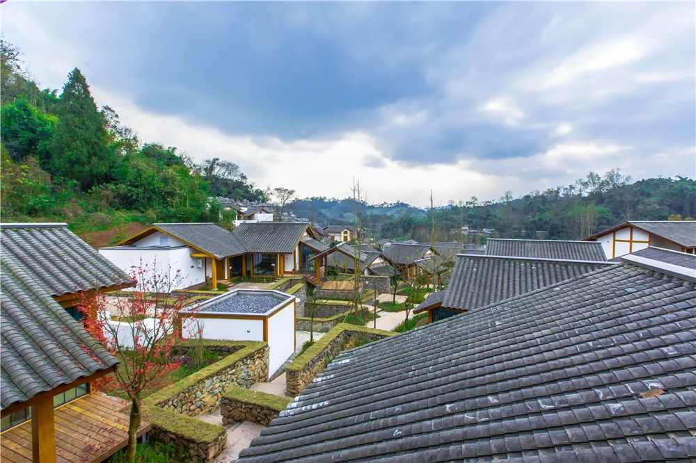 雅安暑假游攻略最佳线路,雅安必玩