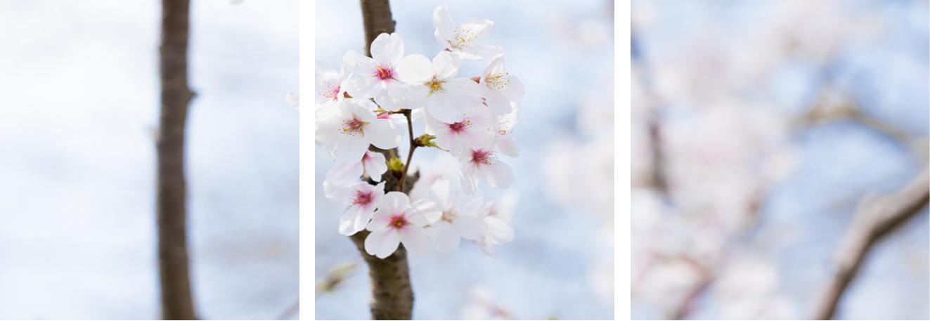 厉害的人都是偷偷努力,厉害的人都是怎么睡觉的