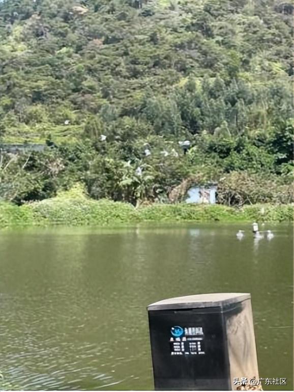 春季国内观鸟热门地,这份观鸟地图请收好