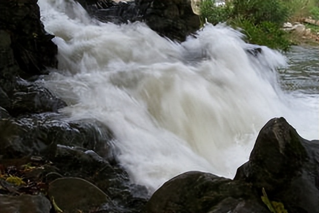嗓子里总有痰，痰多吐不完，平胃丸搭配一物，化老痰顽痰黄白痰！