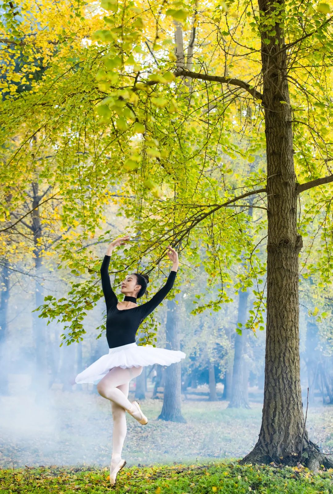 成都向上最新信息,年度向上力量合照
