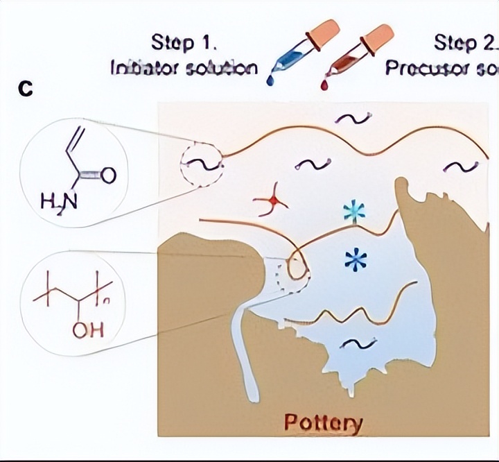 唾液酸与杜克雷嗜血杆菌周质结合蛋白之间相互作用的分子特征