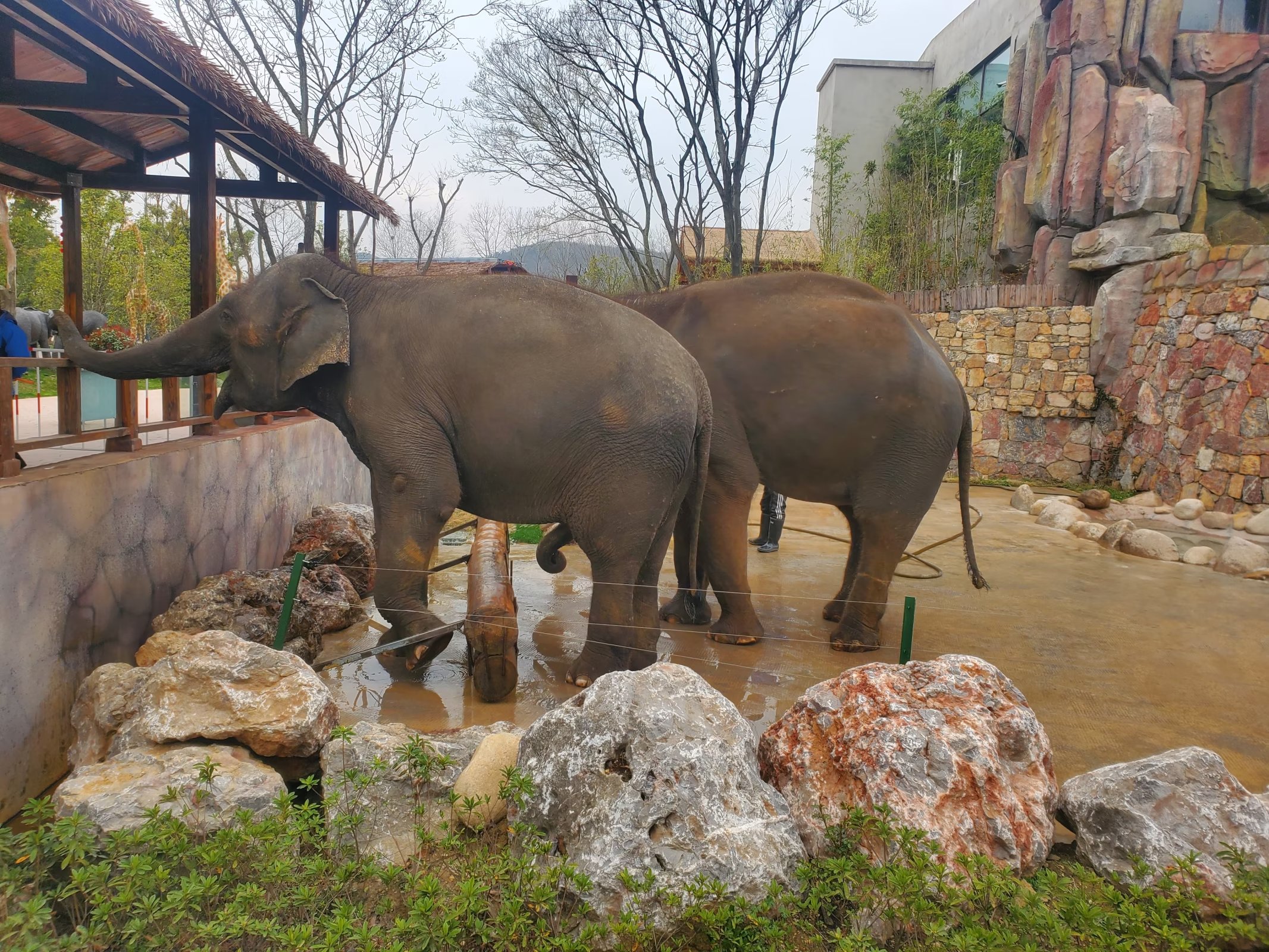 南京周末春游,南京春游一日游攻略