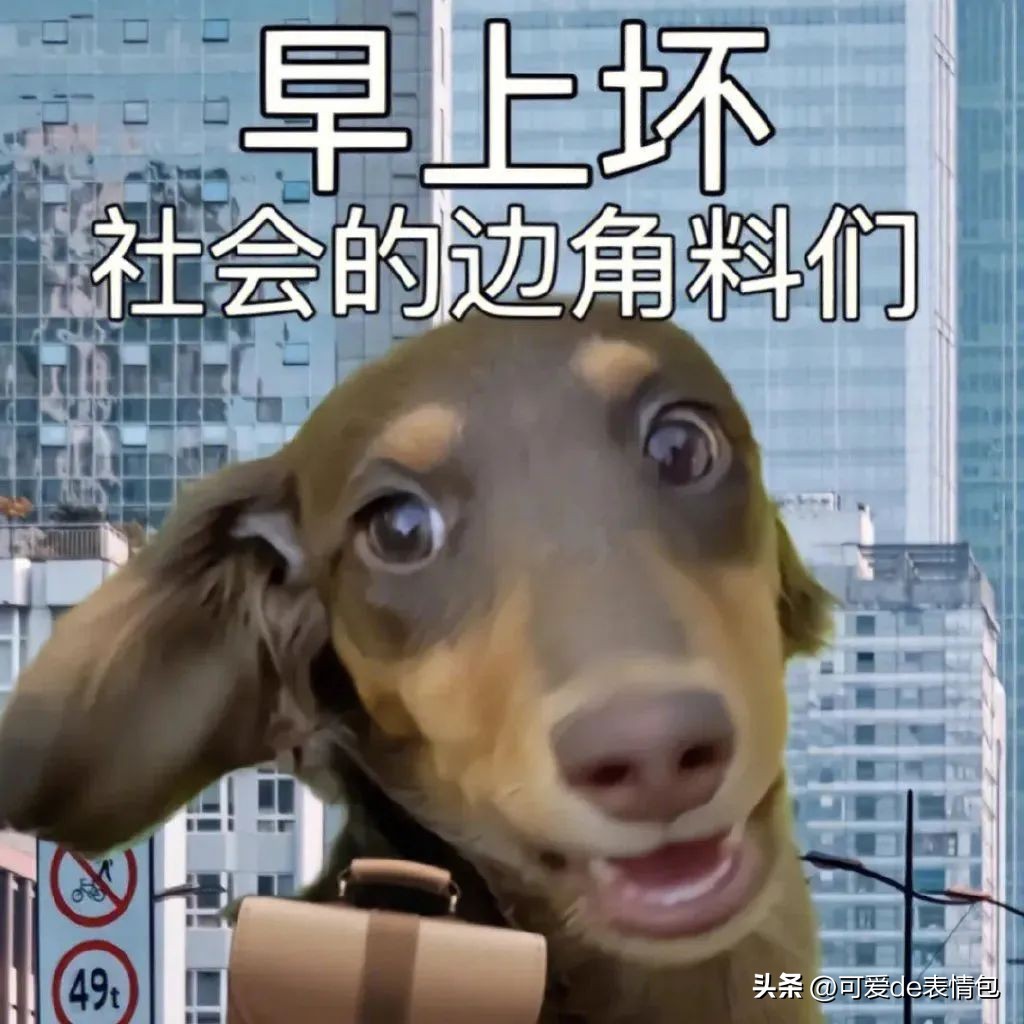 抖音黑人老嫂子搞笑表情包合集