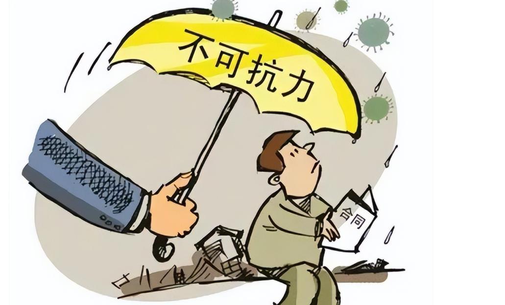 民法典造成他人损害应负什么责任,民法典不可抗力免责的条款