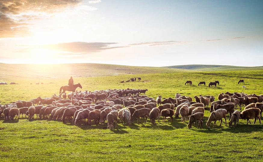 战争时期部队的军粮是如何食用的,哪些士兵都是怎么吃军粮的
