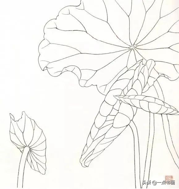 鍥界敾鑽疯姳鐢绘硶瑙嗛,娉煎ⅷ鑽疯姳鐢绘硶瑙嗛