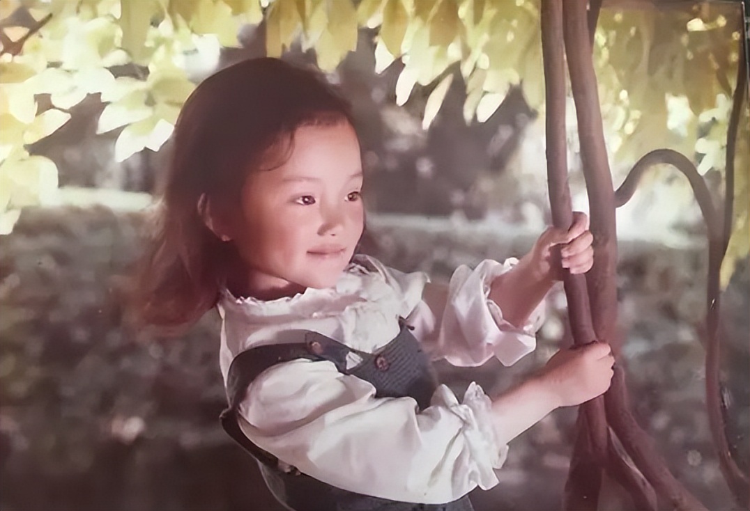 贾乃亮李小璐离婚案件民事判决书,李小璐为什么和贾乃亮离婚