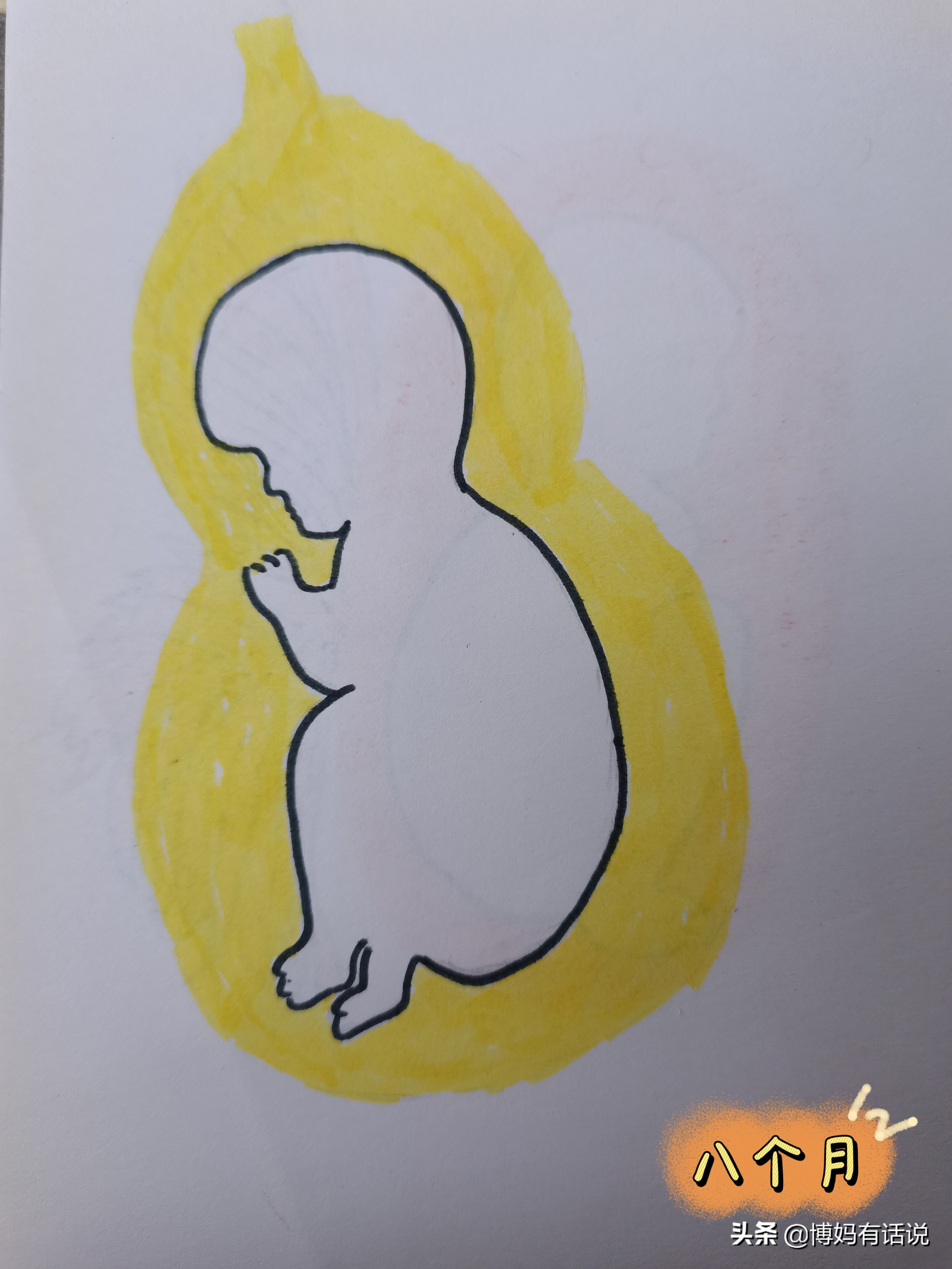 孕期各阶段产检项目,怎么知道孕期查什么