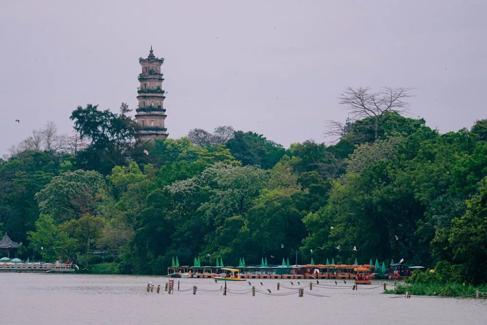 惠州免费春游踏青最佳去处,惠州周边踏青一日游