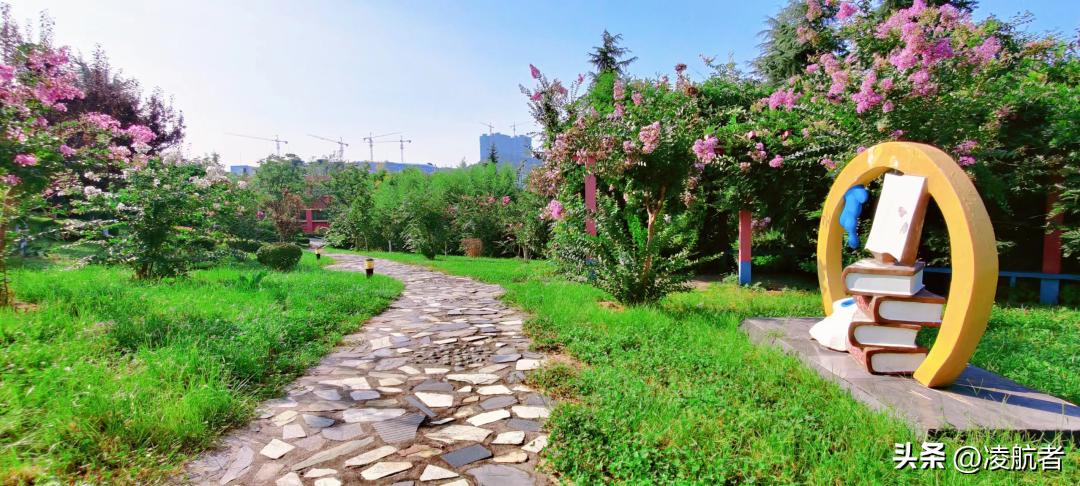 致萌新的学长学姐寄语,致学长学姐的一封信