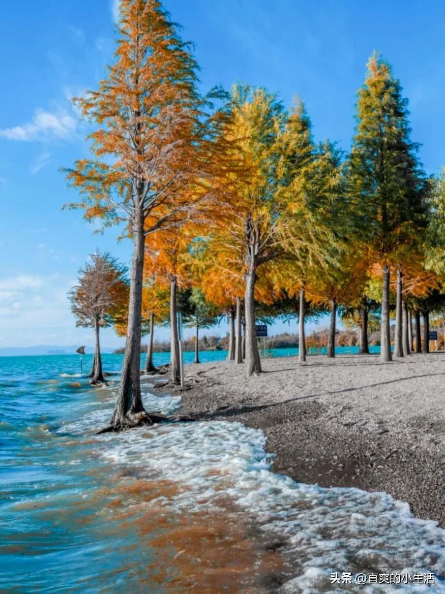 昆明作为中转站周边旅游攻略,昆明中转站的风景