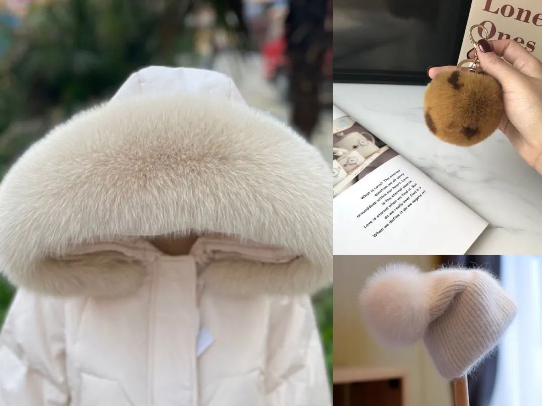 你不知道的英国女王：一位硬核环保主义者