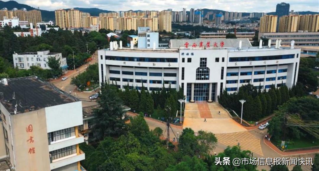 学生宣传母校被“吐槽”,学生宣传母校随意被网友吐槽