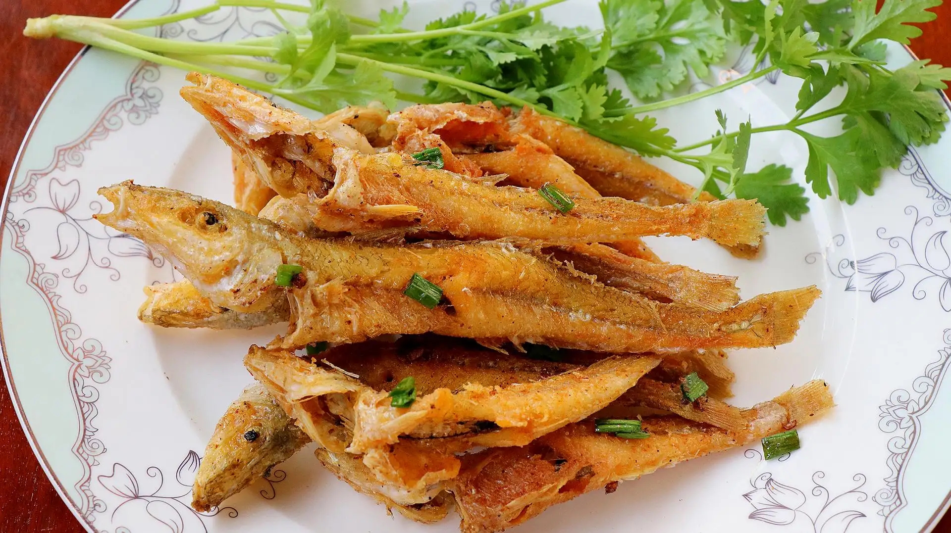 海边最常钓到海鱼品种大全及图片,海边钓鱼最常见的海鱼