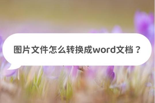 文字图片转换word文档,如何将图片文字转换word