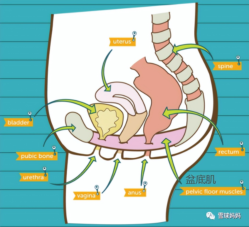 被吐槽“尿频”汤唯现场落泪，产后尿频、漏尿应当被知道得更多..