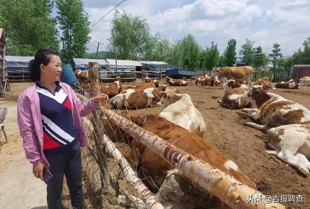 站在虎年回望牛年：延边州递交的答卷让人振奋