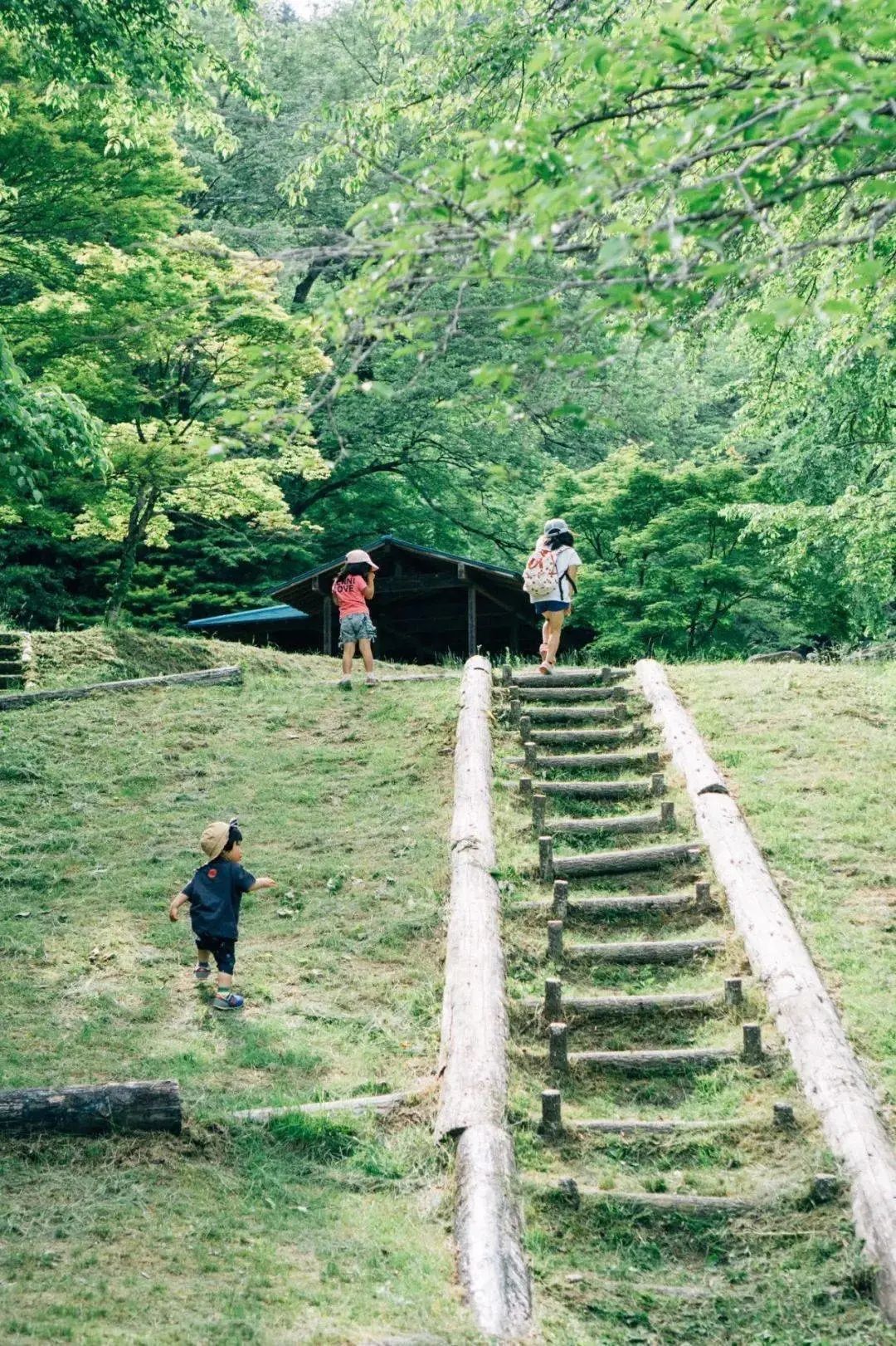 爸爸拍坏人女儿却被偷走完整版,日本爸爸偷拍孩子