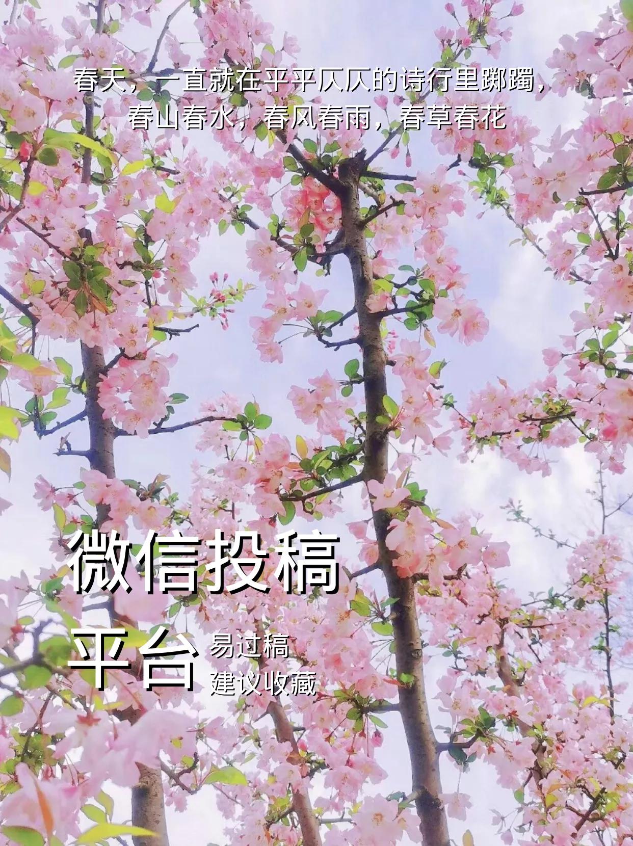 写作投稿正规平台流程,新手写作兼职投稿类平台