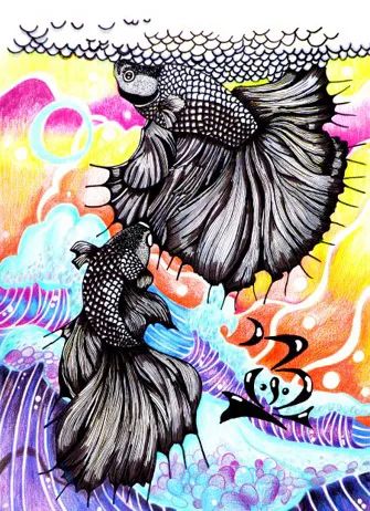 斗鱼米娜跳舞,斗鱼美女舞蹈