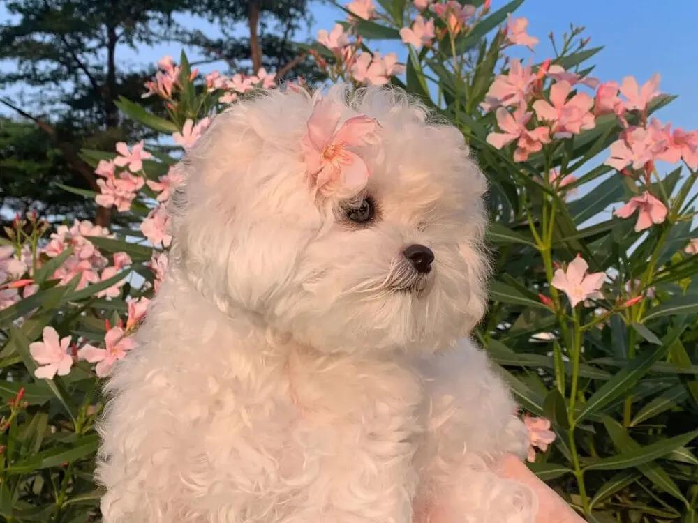 春意款款,岁月缓缓,令人心动的春日文案