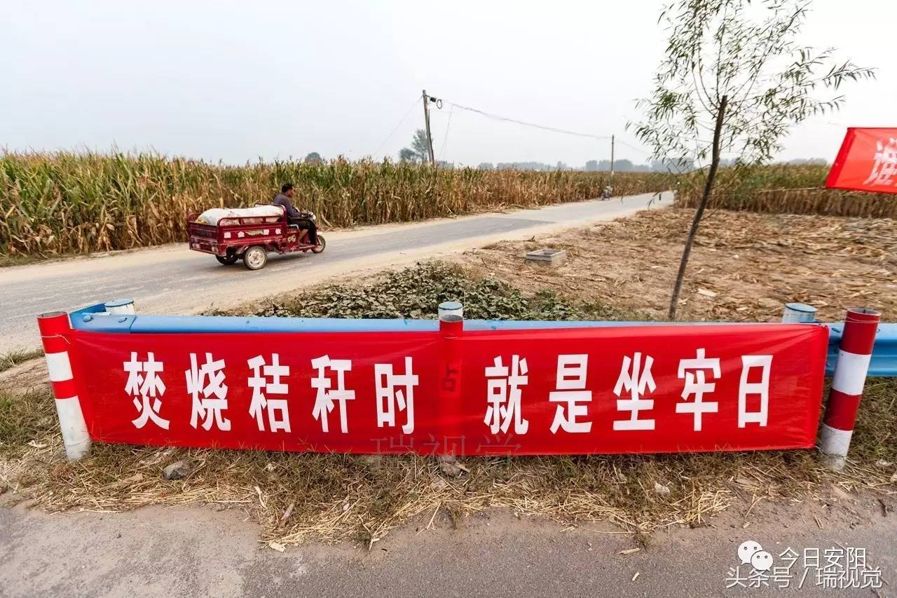 禁烧宣传标语,禁烧宣传标语图片