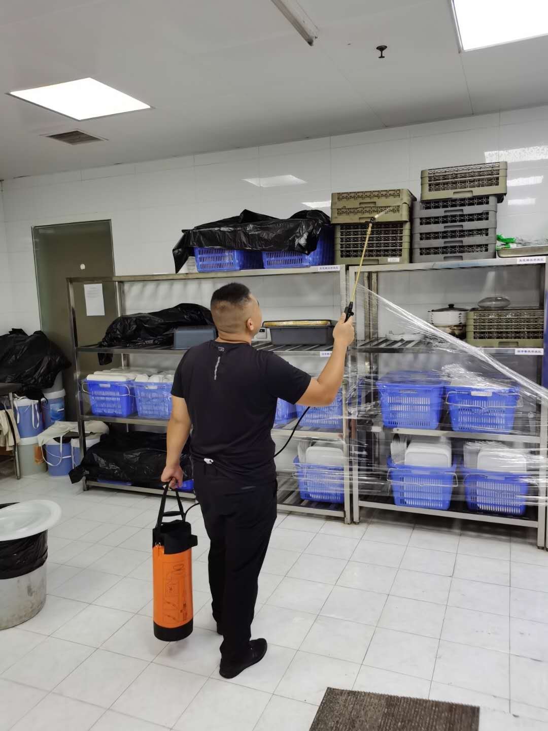 蟑螂怎么打死是正确的,蟑螂怎么治才能除根