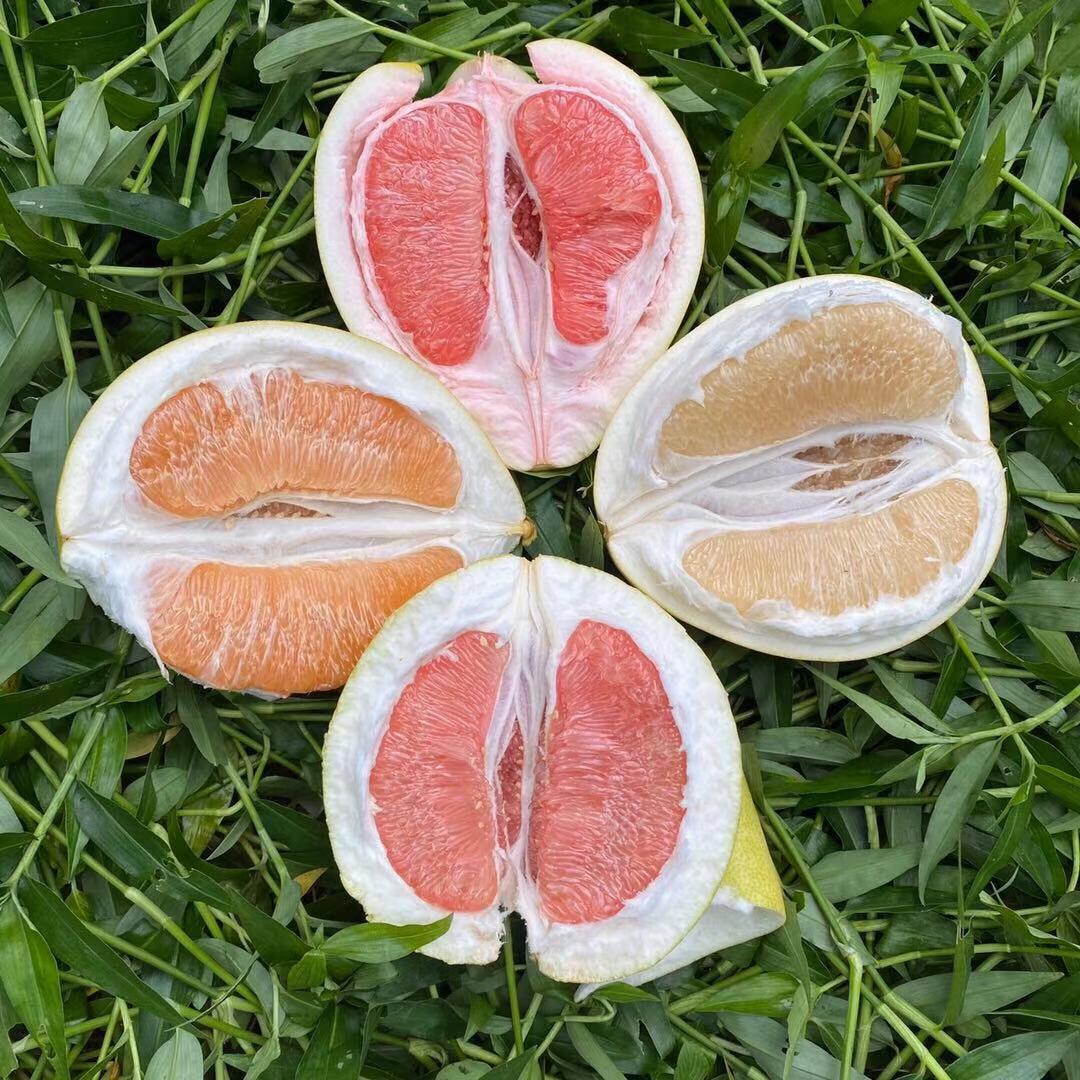 什么柚子对心血管病人有帮助,减肥柚子有用吗