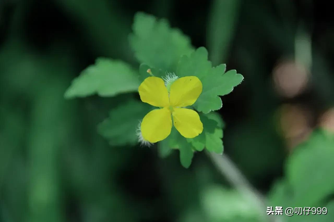 当一个男人死心前的三个征兆,男人一旦死心的征兆