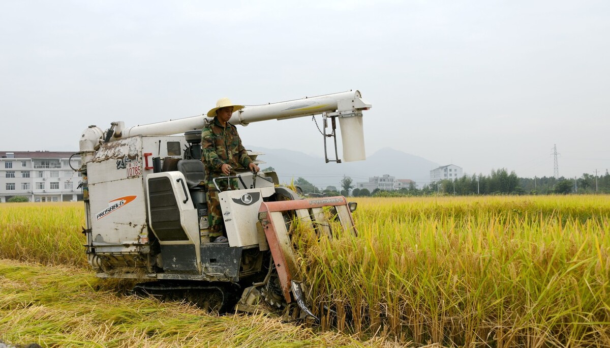 久保田收割机新款收割水稻视频,久保田小麦收割机视频大全