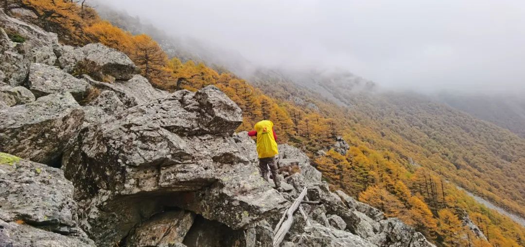 登太白山感受,太白山景区登顶拔仙台