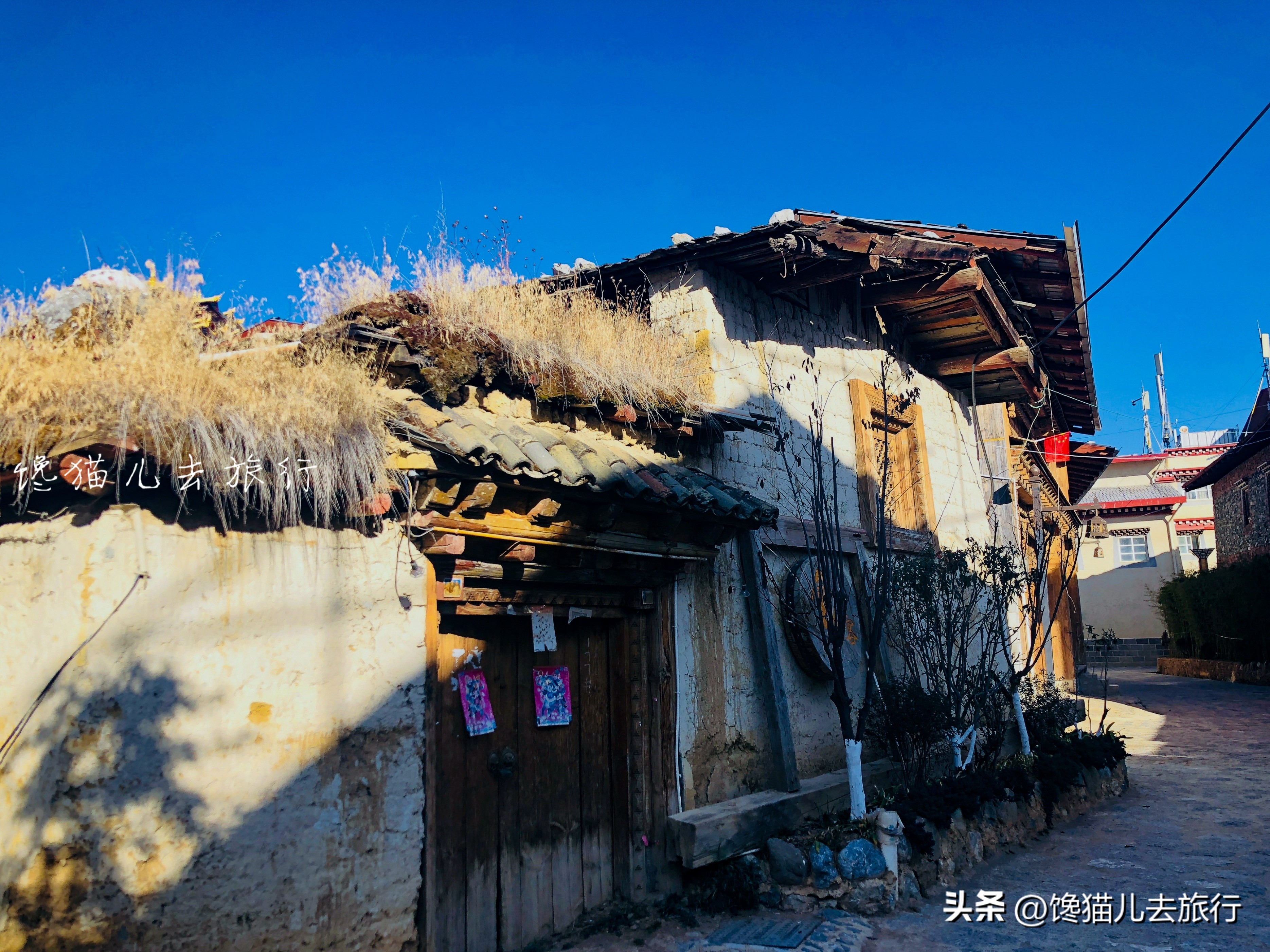 去了云南丽江却没有去香格里拉?香格里拉的景色独步国内而且多样