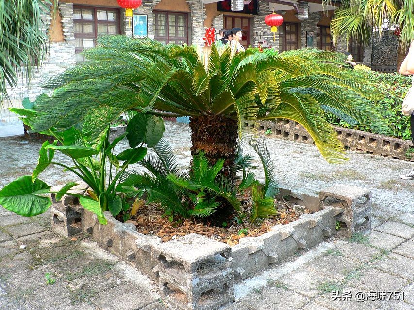 广东韶关始兴县澄江镇,广东韶关始兴县顿岗镇