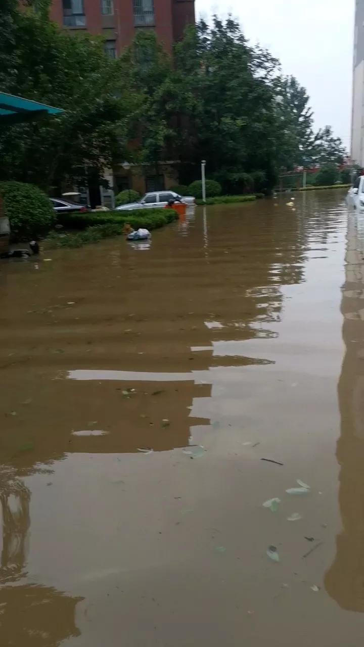 郑东新区白沙中原大道施工进度,郑东新区白沙组团新开工项目