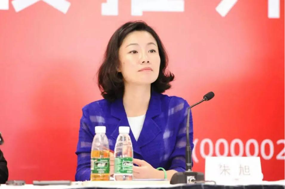 朱旭年收入,中国年薪最高的董秘朱旭