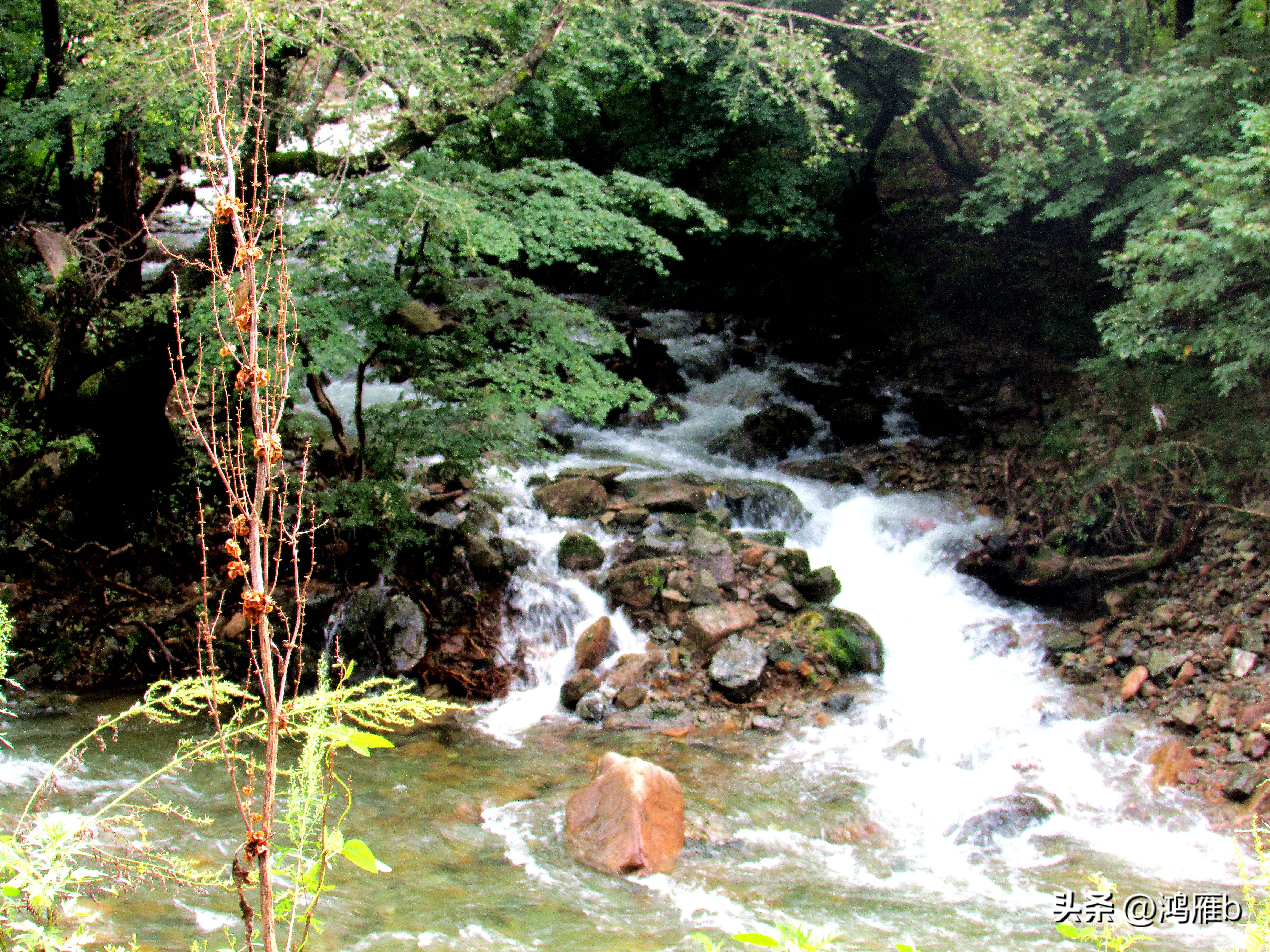 本溪汤沟风景区视频,来到本溪汤沟一步一景的感觉