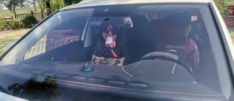 捷达春夏秋冬四季试驾,漠河捷达