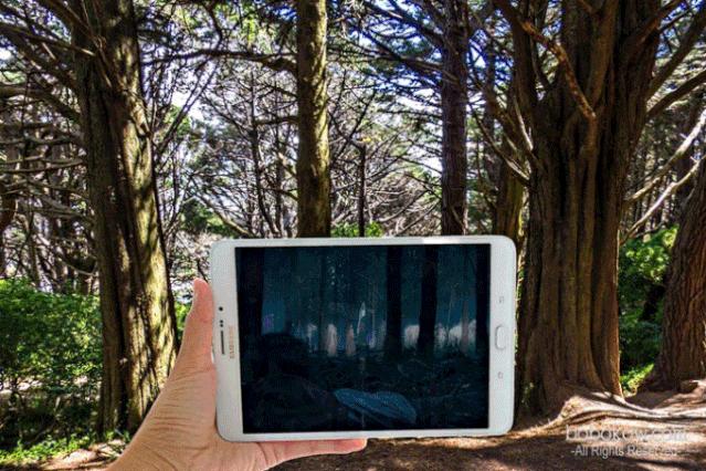 坐大巴环游中国111天,国内到新西兰游攻略