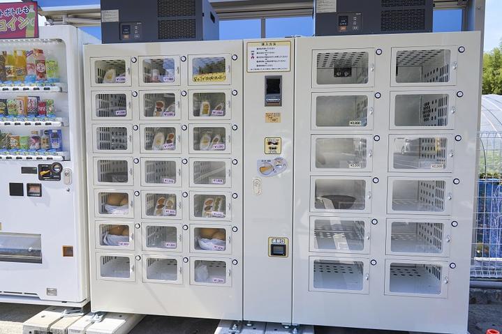 日本10月1日旅游攻略,日本京都五日自由行攻略