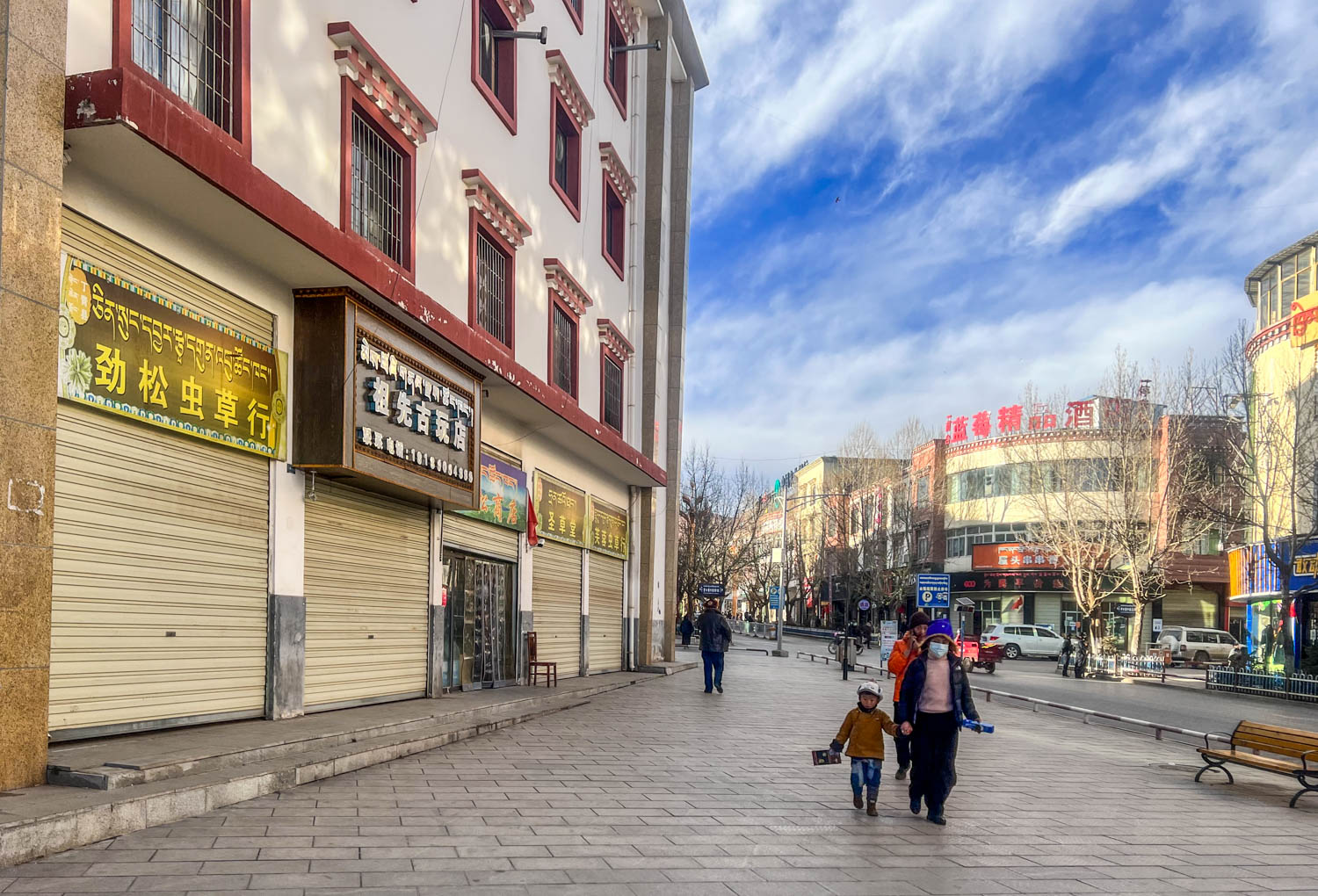 *藏西**东部小城，风光举世闻名，满街都是虫草店，一生一定要游一次