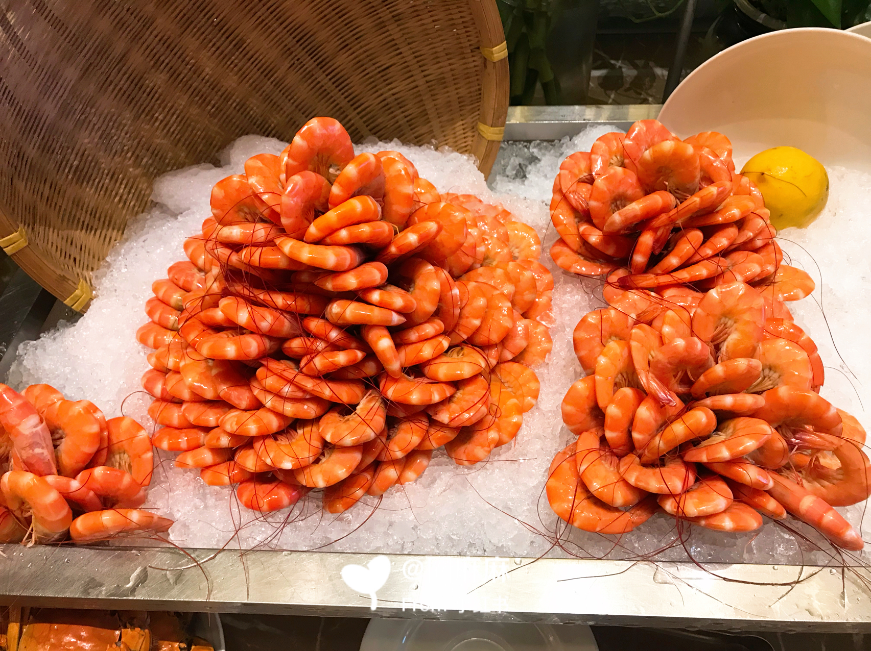 南宁这10家自助餐性价比高,南宁自助海鲜烤肉推荐