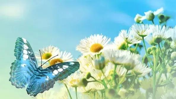 浣欑敓渚濇棫,浣欑敓渚濇棫濡傚垵